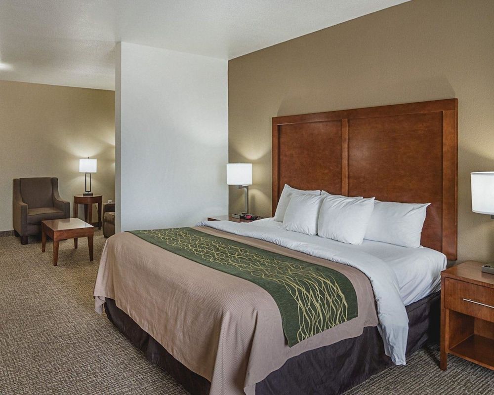 Suite, 1 King Bed with Sofa bed, Non Smoking