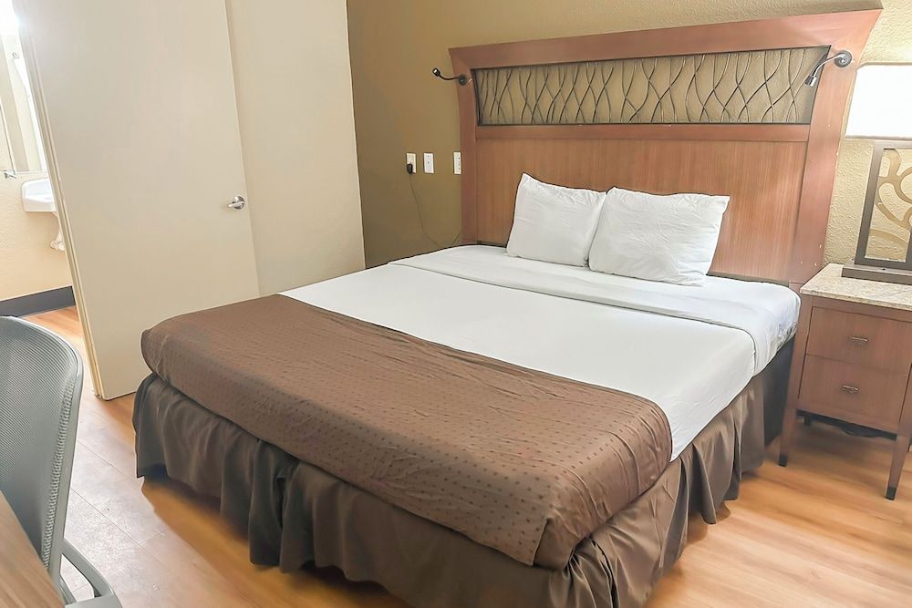 Room, 1 King Bed