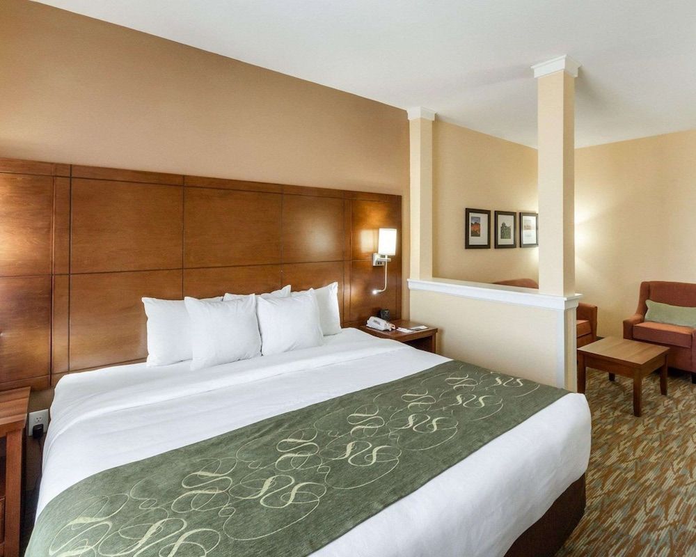 Suite, 1 King Bed with Sofa bed, Accessible, Non Smoking