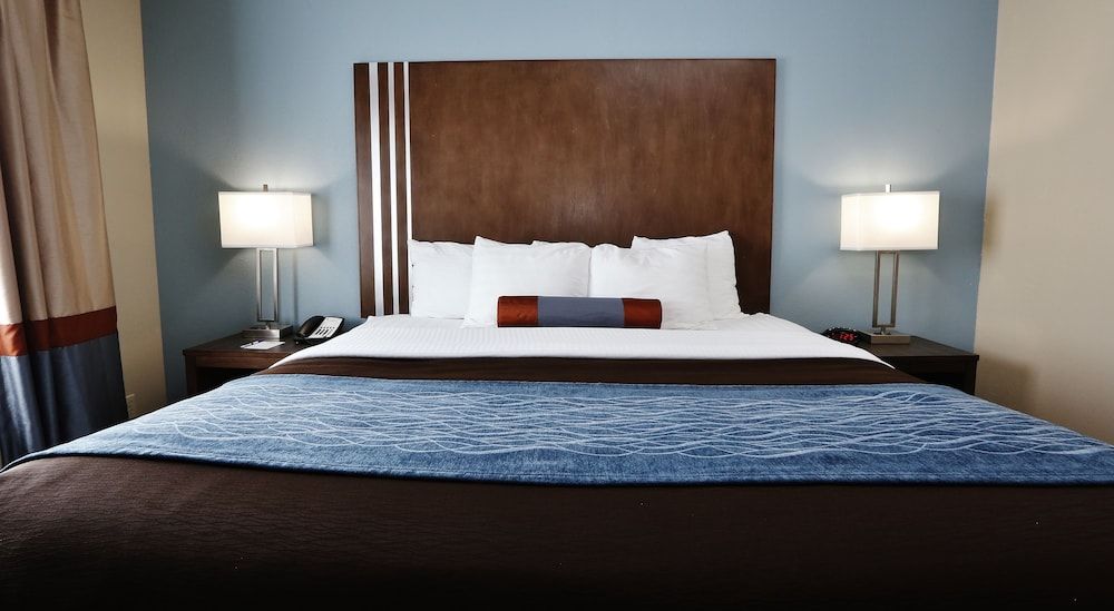 Suite, 1 King Bed, Non Smoking (Separate Living Room;with Sofabed)