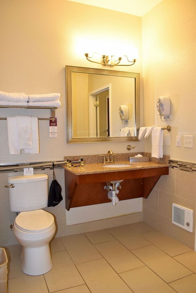 Suite, 1 King Bed, Non Smoking, Refrigerator & Microwave (with Sofabed)