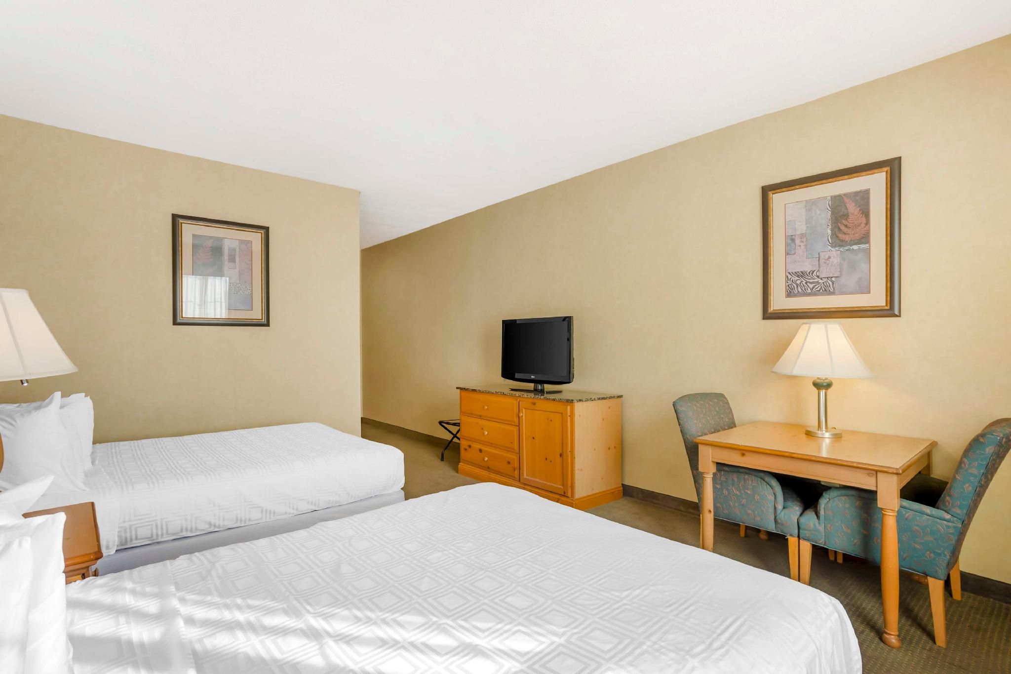 Accessibility - 2 Queen Beds, Roll-in Shower, Nonsmoking