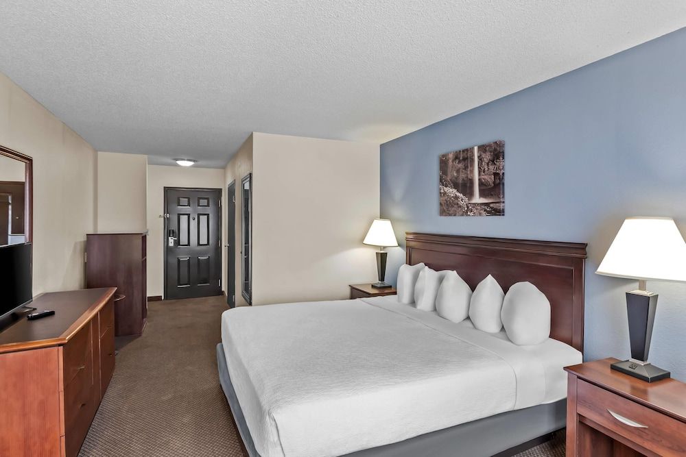 Room, 1 King Bed, Accessible, Non Smoking (Roll-In Shower)
