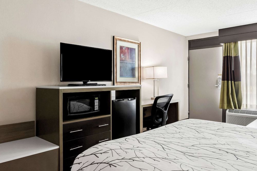Standard Room, 1 Queen Bed, Accessible, Bathtub