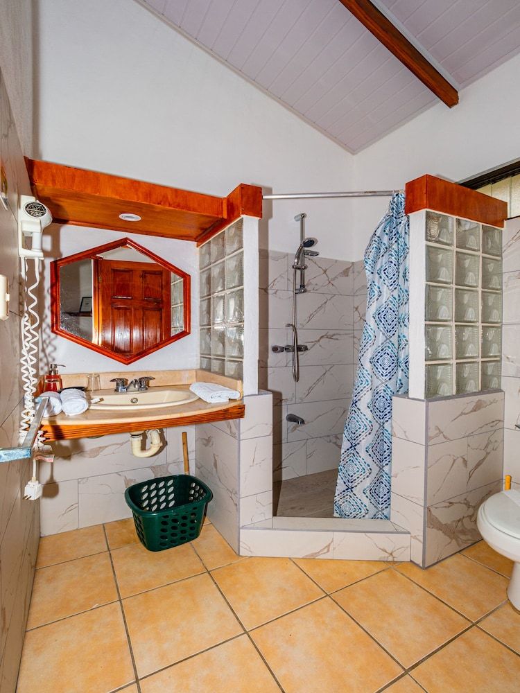 Hotel Colinas del Sol Standard Room, 1 King Bed, Pool Access, Garden Area 19