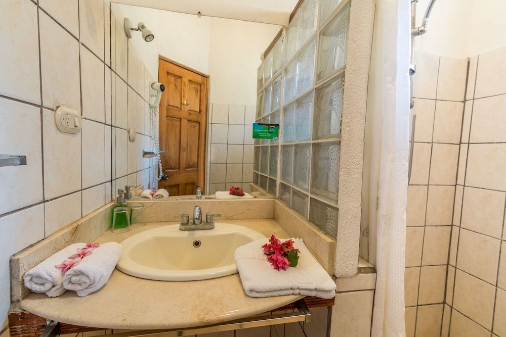 Hotel Colinas del Sol Standard Room, 1 King Bed, Pool Access, Garden Area 18