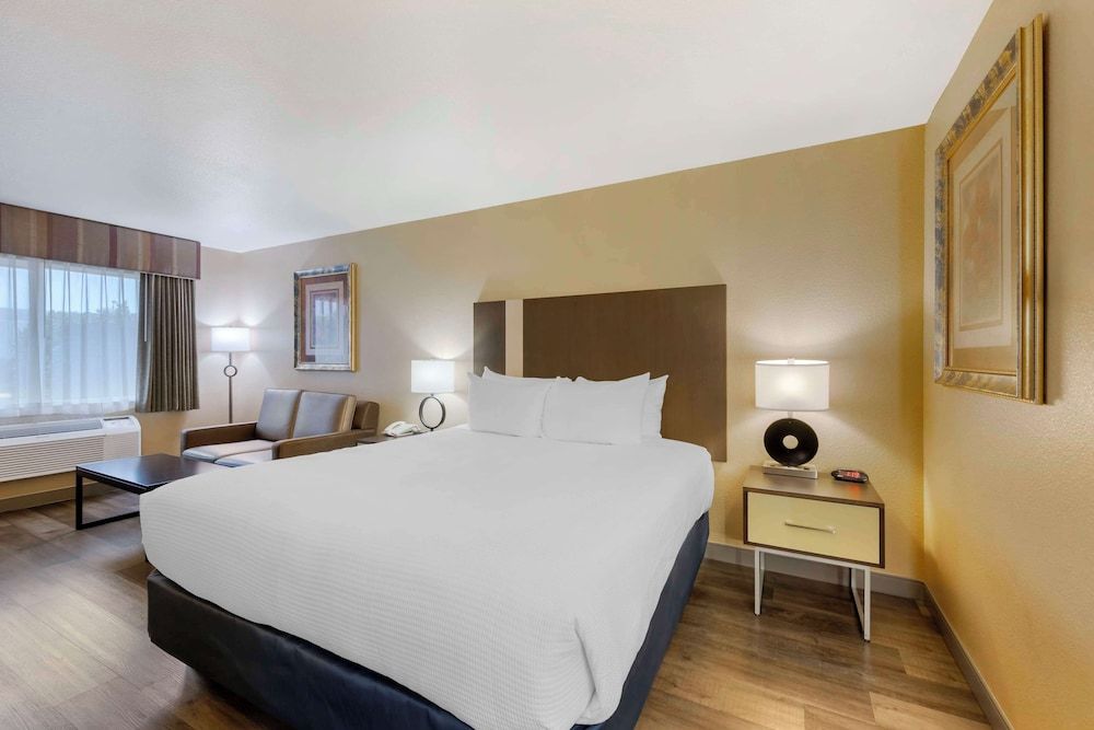 Standard Room, 1 King Bed, Non Smoking, Refrigerator & Microwave