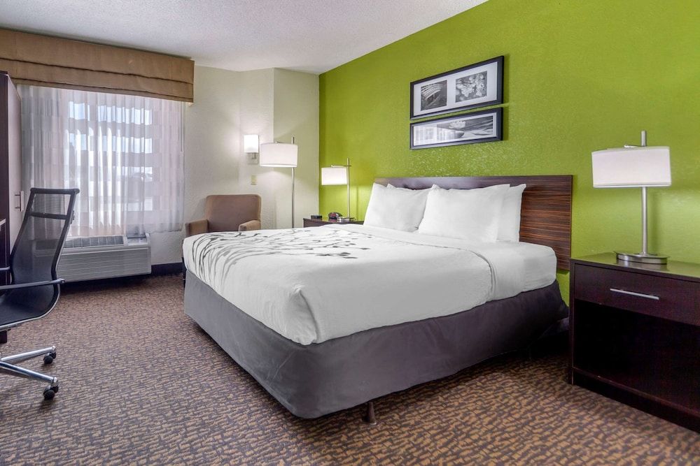 Room, 1 Queen Bed, Non Smoking