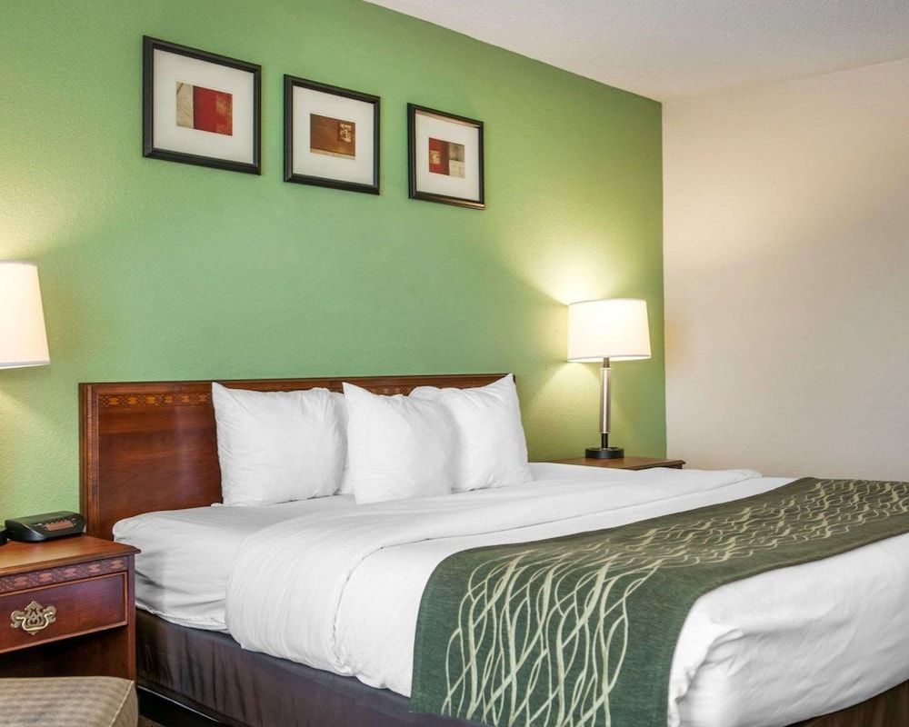 Standard Room, 1 King Bed, Non Smoking