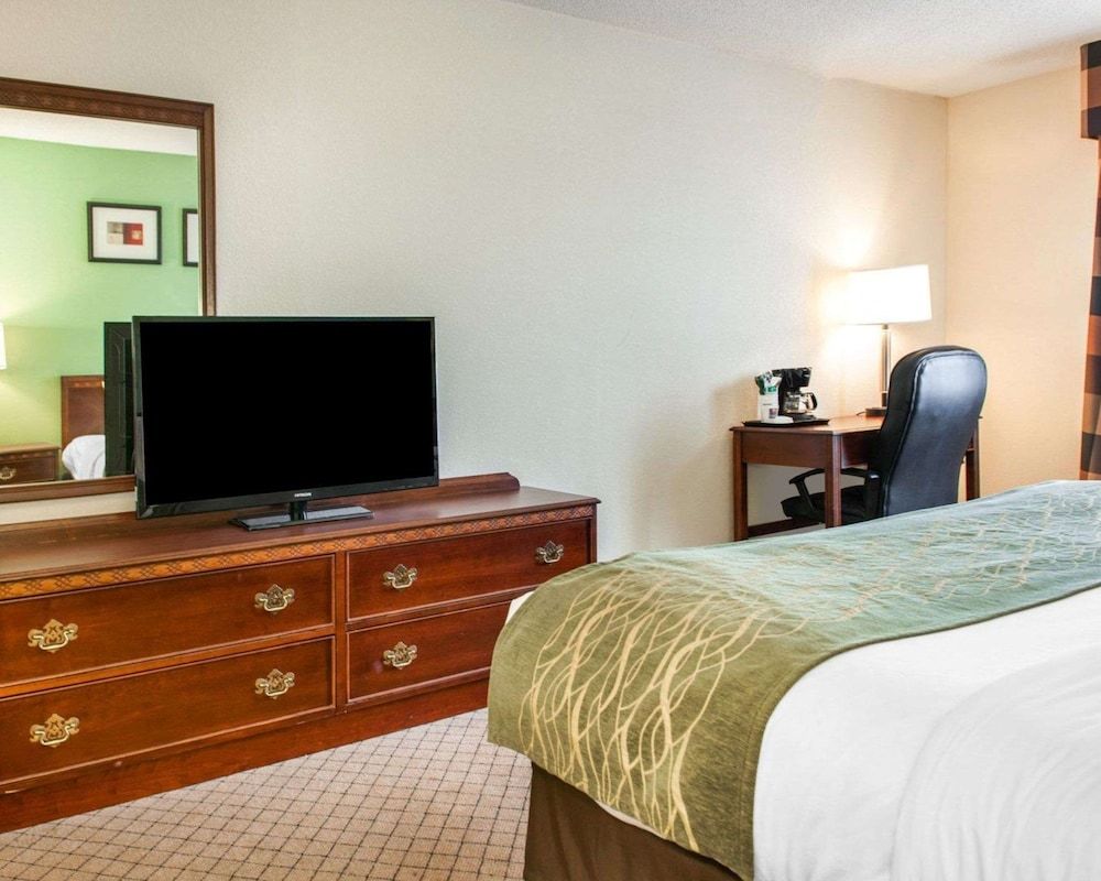 Standard Room, 1 King Bed, Non Smoking