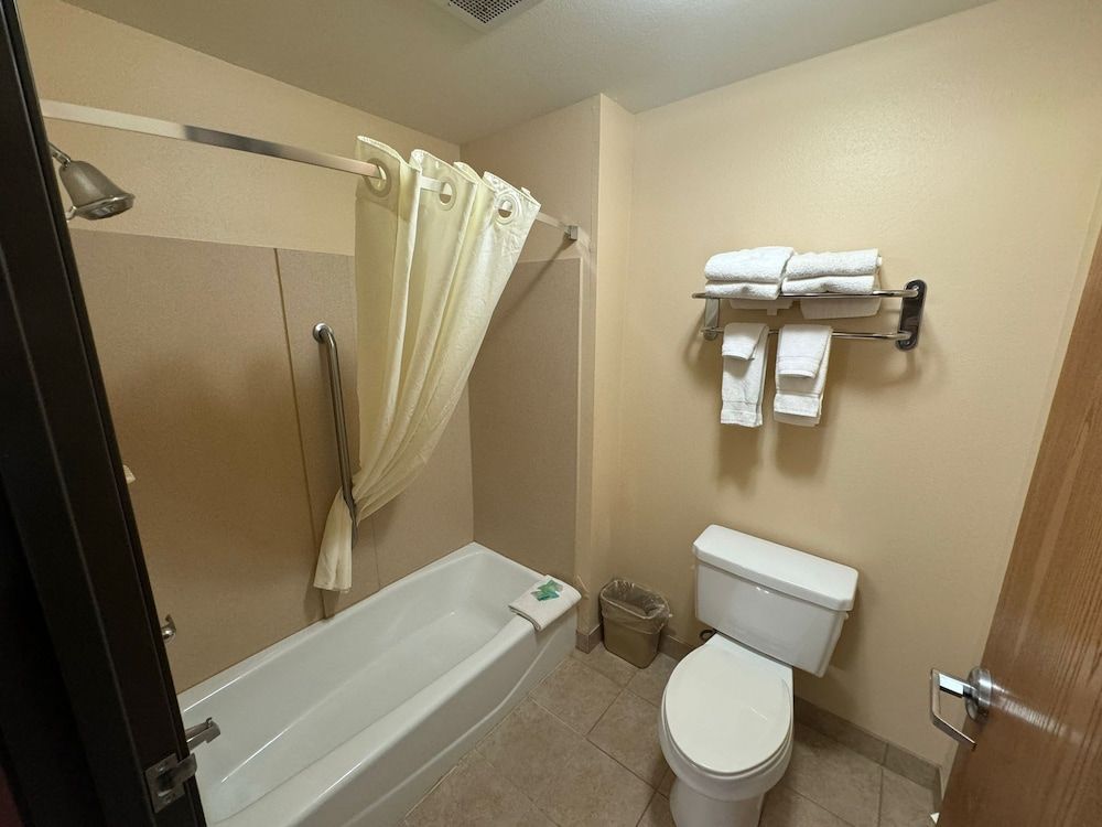 Room, 1 King Bed, Non Smoking