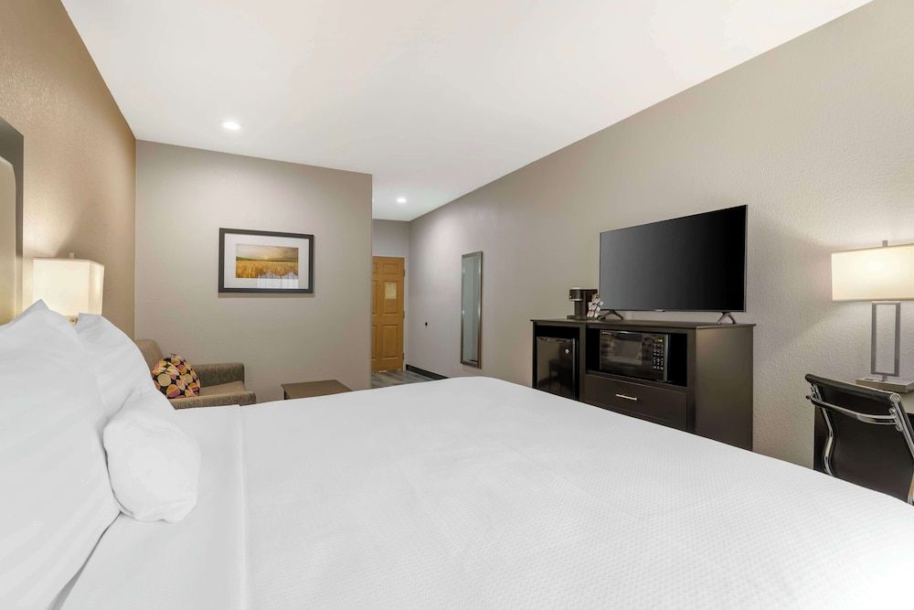 Standard Room, 1 King Bed, Non Smoking (with Sofabed)
