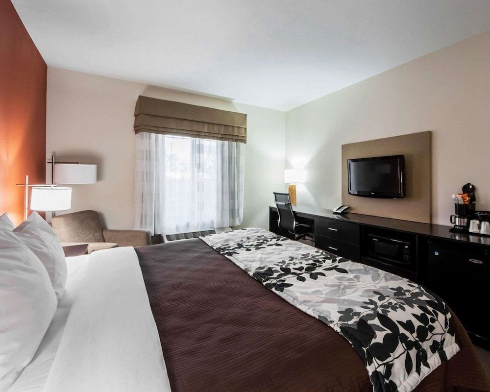 Room, 1 King Bed, Accessible, Non Smoking
