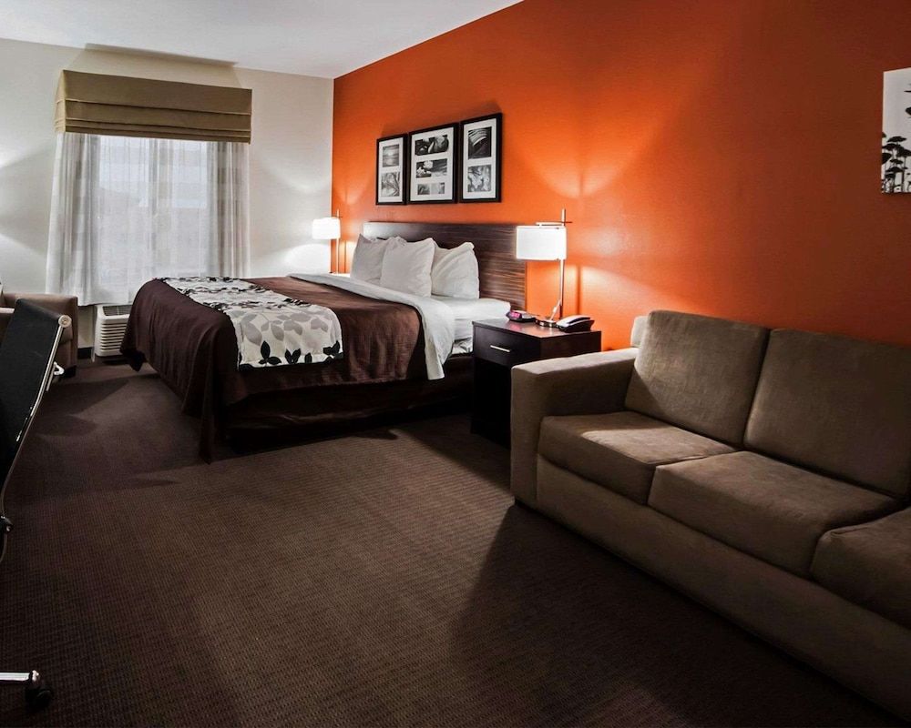 Suite, 1 King Bed with Sofa bed, Non Smoking
