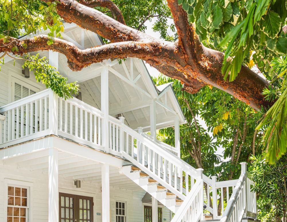 undefined NYAH Key West - Adults Only 6