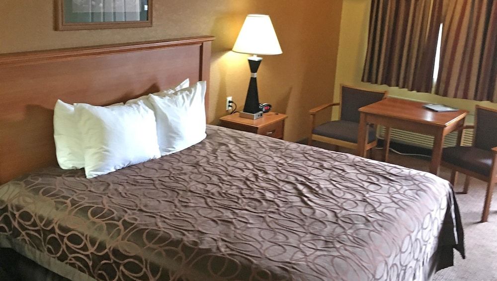 Xecutive Inn and Suites Standard Room, 1 King Bed, Smoking, Refrigerator & Microwave 3