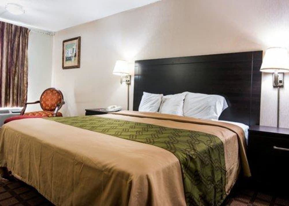 Room, 1 King Bed, Smoking