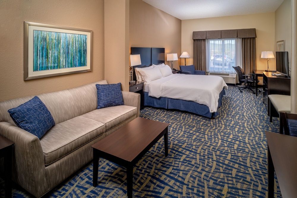 Suite, 1 King Bed with Sofa bed