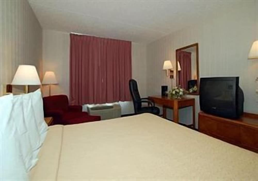 Single Queen Room