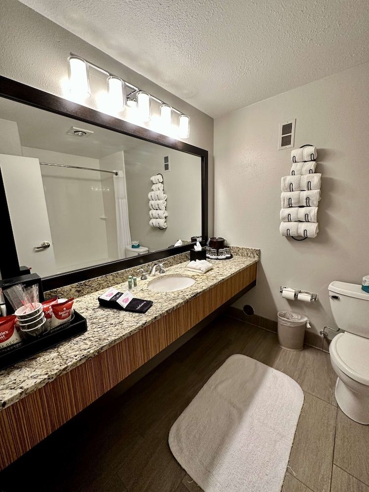 Best Western Vista Inn Standard Room, 1 King Bed, Non Smoking, Microwave 7