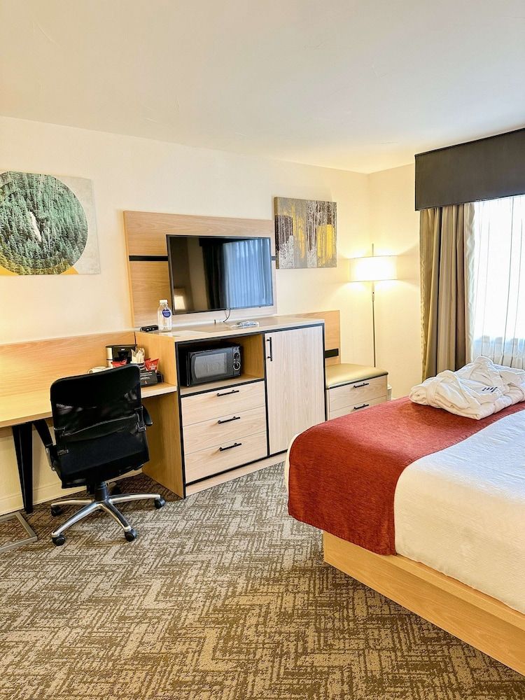 Best Western Vista Inn Standard Room, 1 King Bed, Non Smoking, Microwave 4