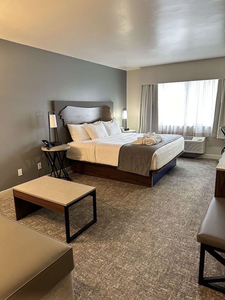 Best Western Vista Inn Standard Room, 1 King Bed, Non Smoking, Microwave 5