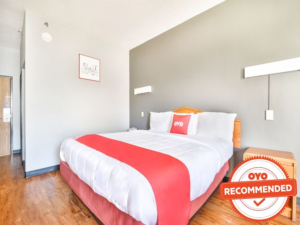 Room, 1 King Bed