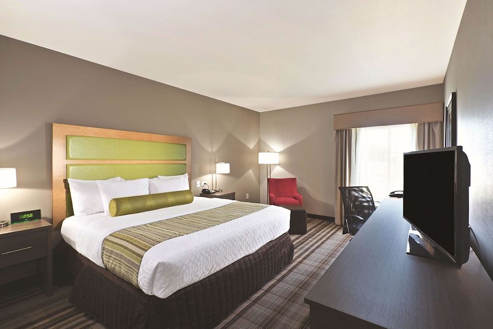Room, 1 King Bed