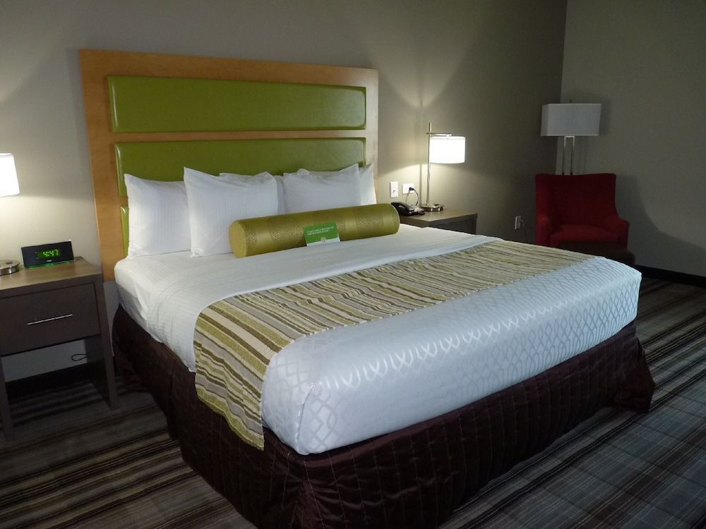 Room, 1 King Bed