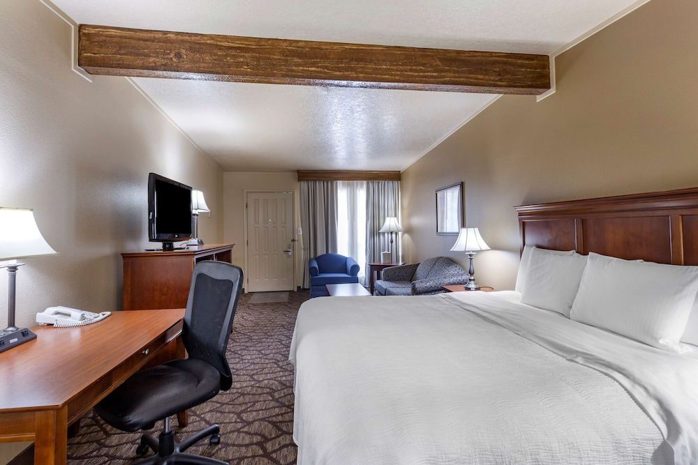 Standard Room, 1 King Bed, Accessible, Bathtub