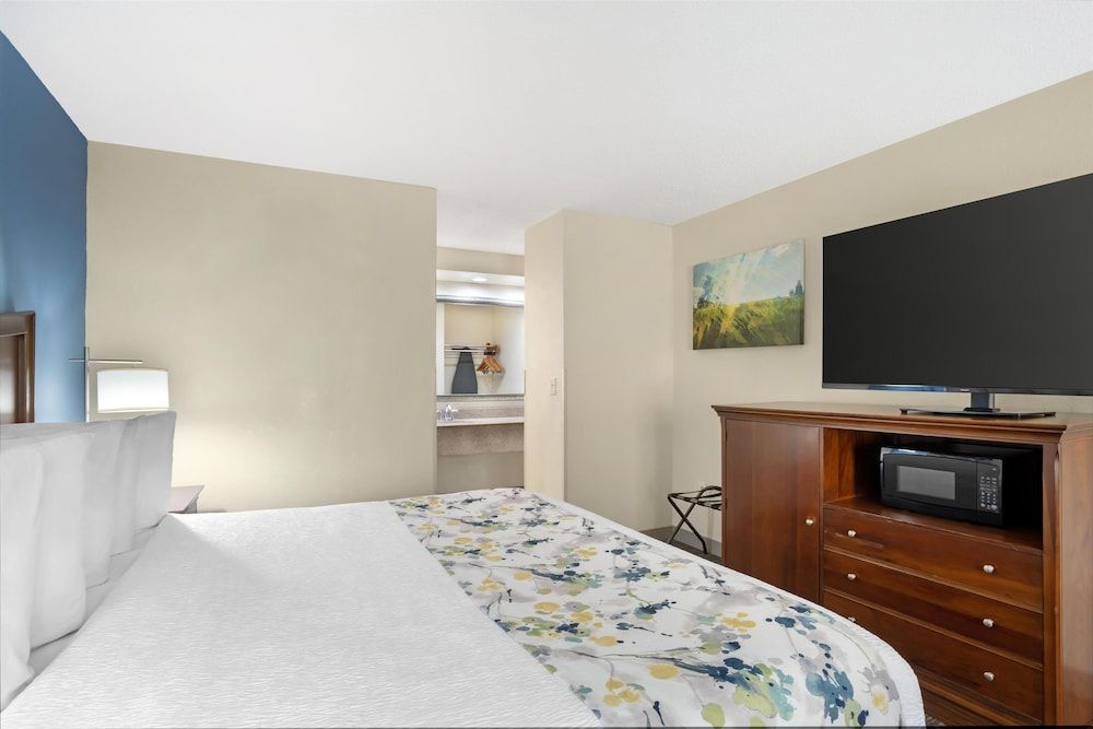 Standard Room, 1 King Bed, Smoking, Refrigerator & Microwave