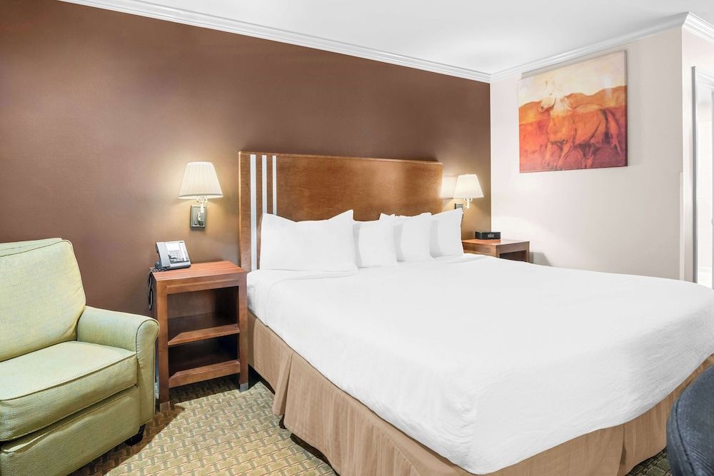 Best Western Skyline Motor Lodge Standard Room, 1 King Bed, Accessible, Refrigerator & Microwave (Walk-in Shower) 2