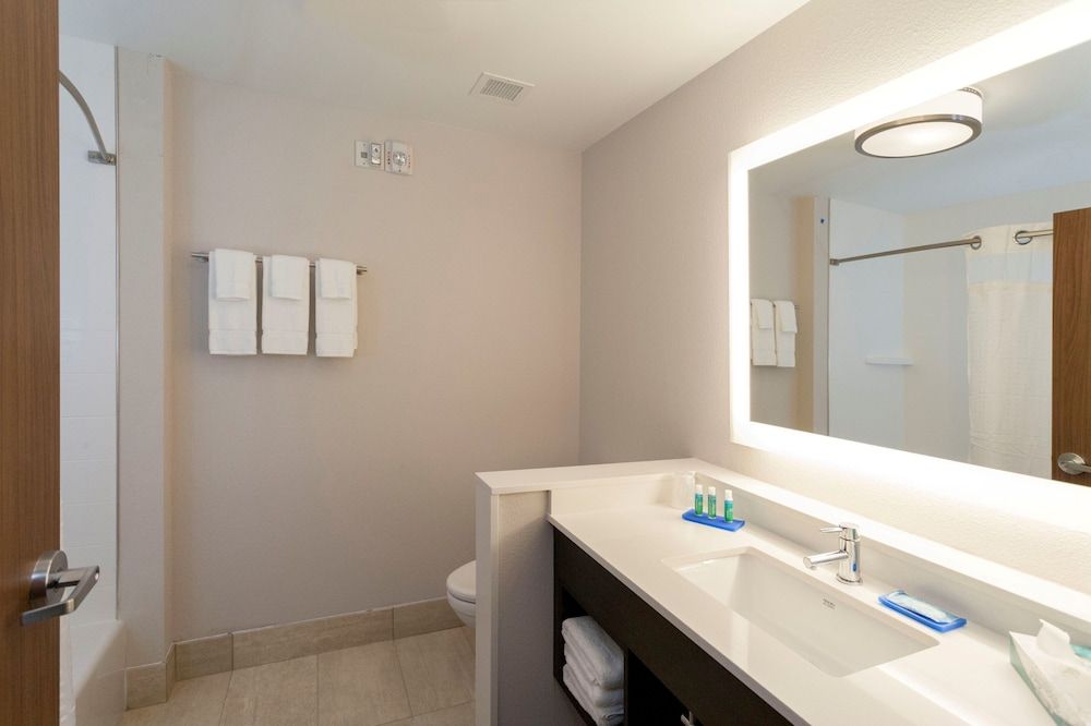Suite, 1 King Bed with Sofa bed (Wet Bar)