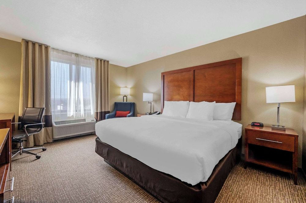 Room, 1 King Bed, Non Smoking (Pet Friendly)