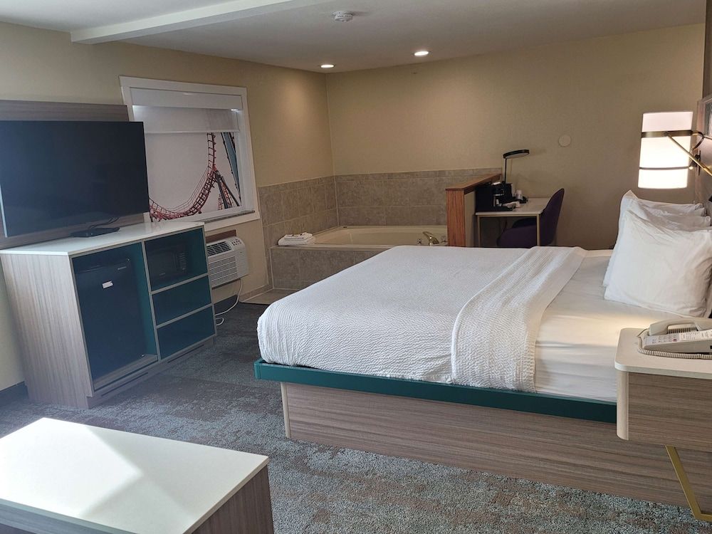 Standard Room, 1 King Bed, Non Smoking, Jetted Tub (with Sofabed)