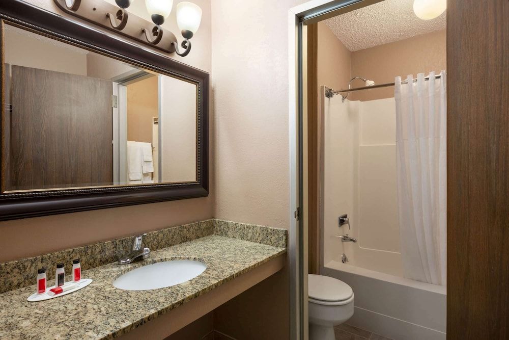 Room, 1 King Bed, Non Smoking (Pet-Friendly)