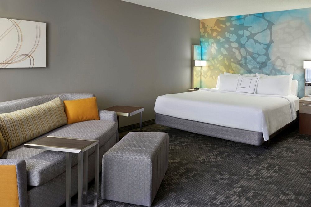 Suite, 1 King Bed with Sofa bed