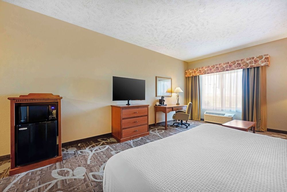 Standard Room, 1 King Bed, Accessible, Refrigerator & Microwave (with Sofabed)