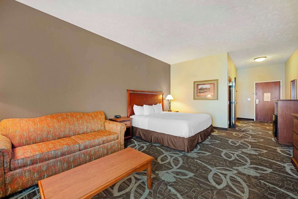 Standard Room, 1 King Bed, Accessible, Refrigerator & Microwave (with Sofabed)