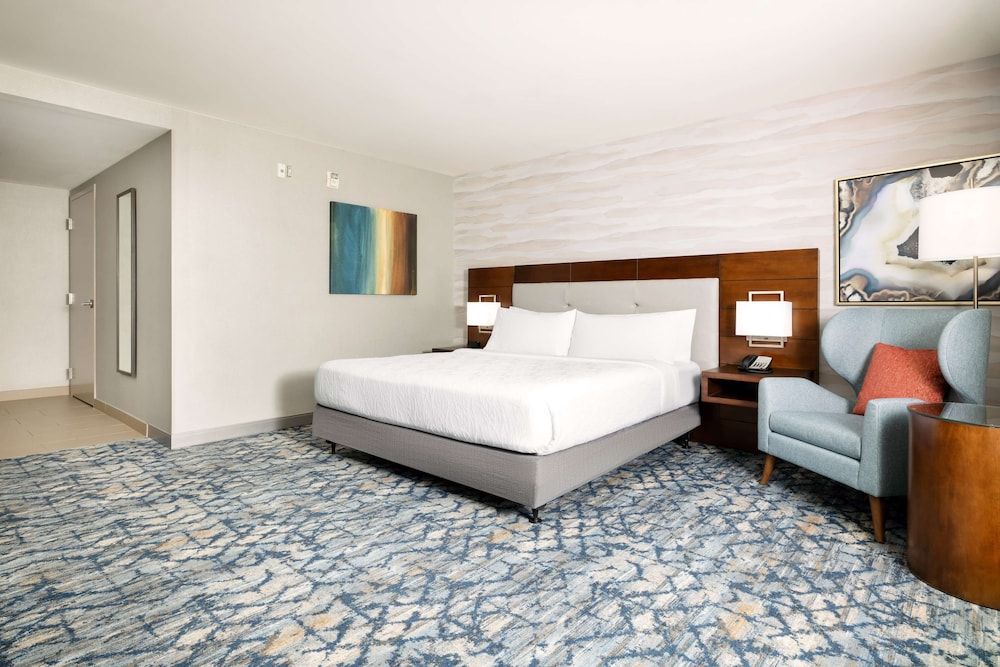 Room, 1 King Bed, Accessible, Non Smoking (Roll-in Shower)