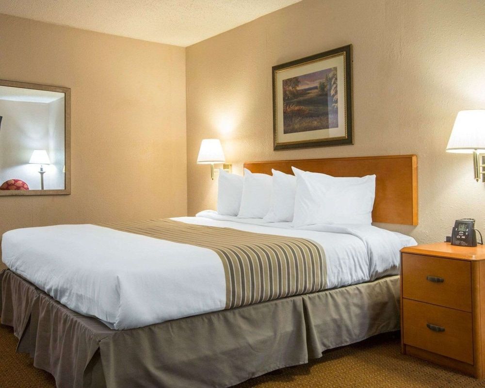 Standard Room, 1 King Bed, Non Smoking