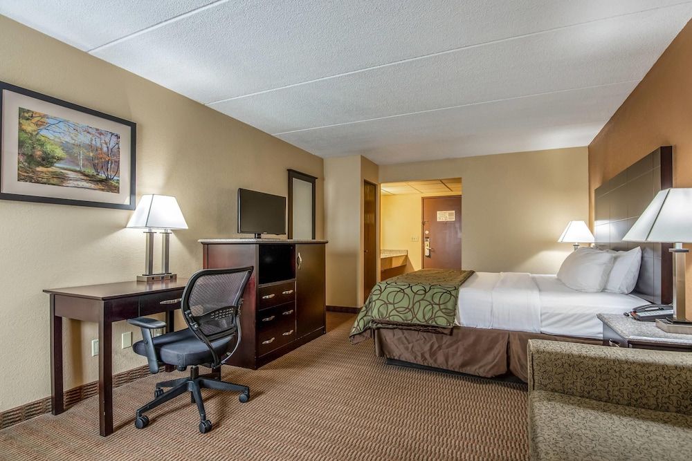 Standard Room, 1 King Bed, Non Smoking