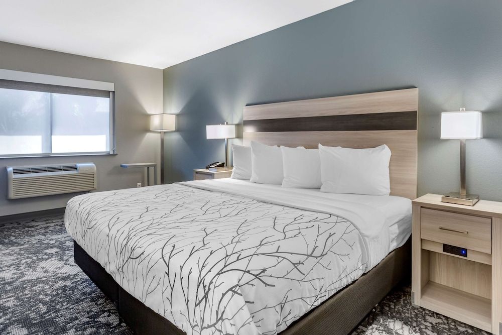Standard Room, 1 King Bed, Non Smoking, Refrigerator & Microwave (Pet Friendly)