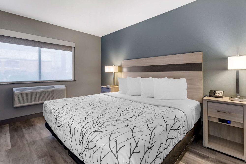 Standard Room, 1 King Bed, Accessible, Refrigerator & Microwave (Pet Friendly)