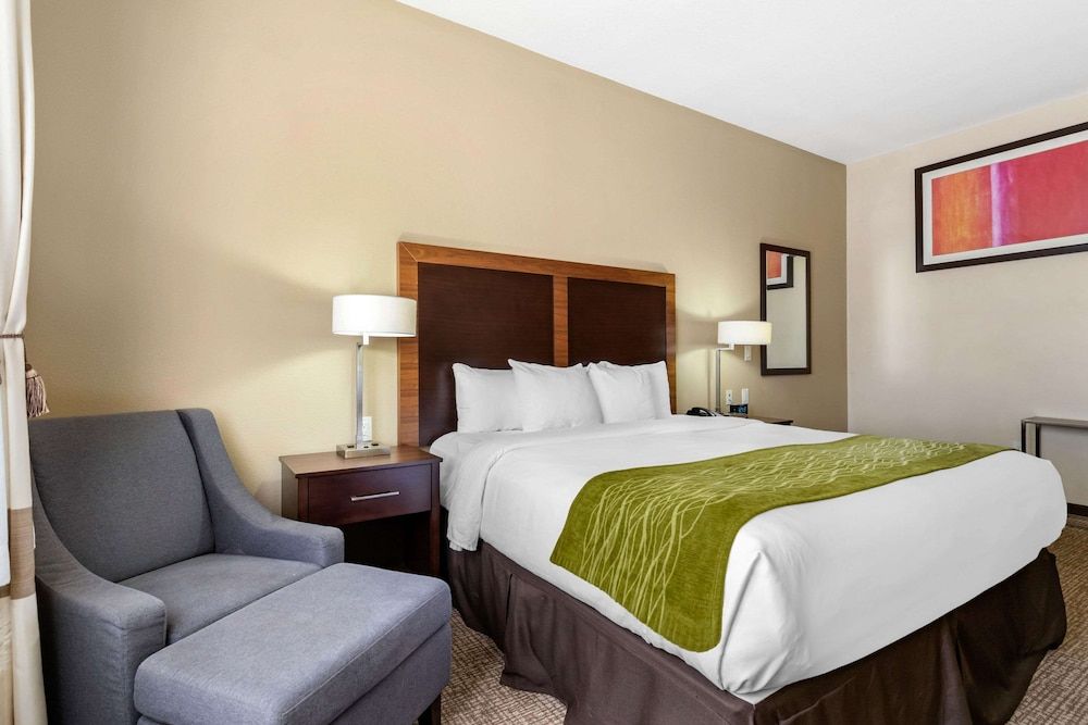 Room, 1 King Bed, Accessible, Non Smoking