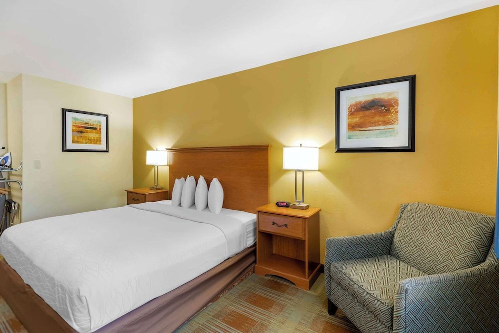 Standard Room, 1 King Bed, Non Smoking, Refrigerator & Microwave