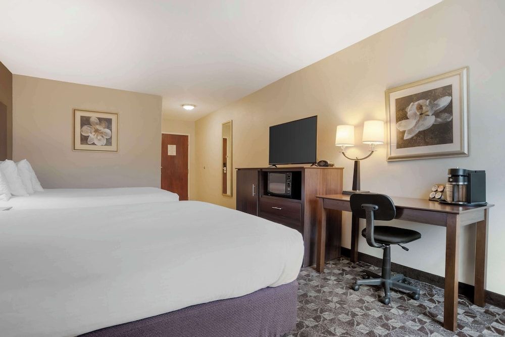 Standard Room, 2 Double Beds, Non Smoking, Refrigerator & Microwave (Pet Friendly)