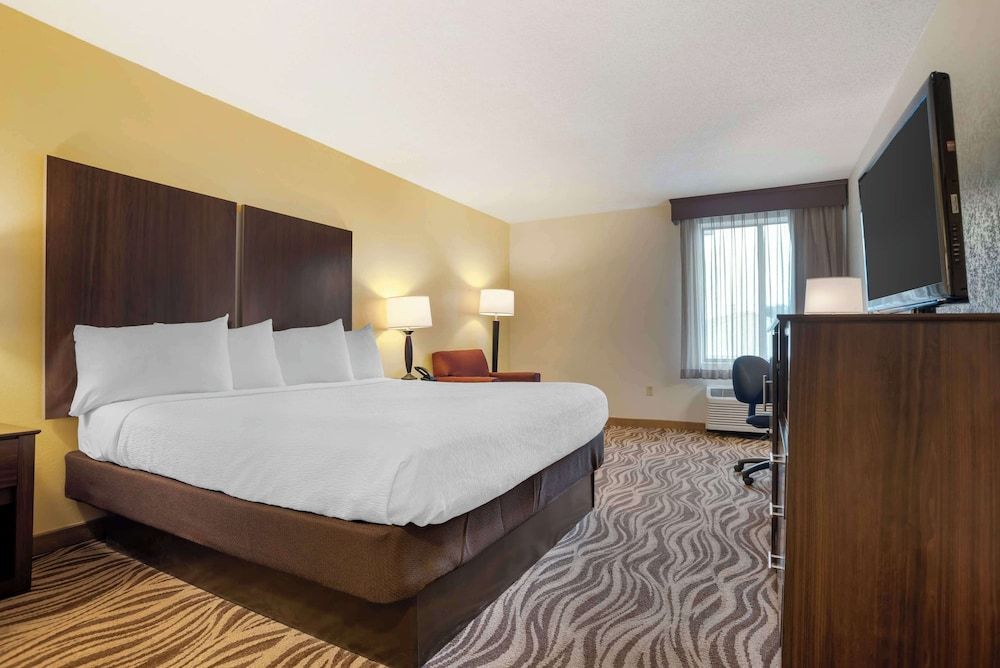 Standard Room, 1 King Bed, Non Smoking, Refrigerator & Microwave (Pet Friendly)