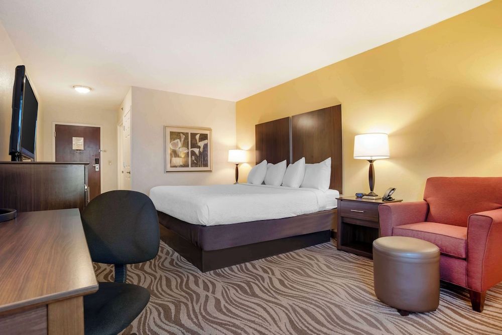 Standard Room, 1 King Bed, Non Smoking, Refrigerator & Microwave (Pet Friendly)