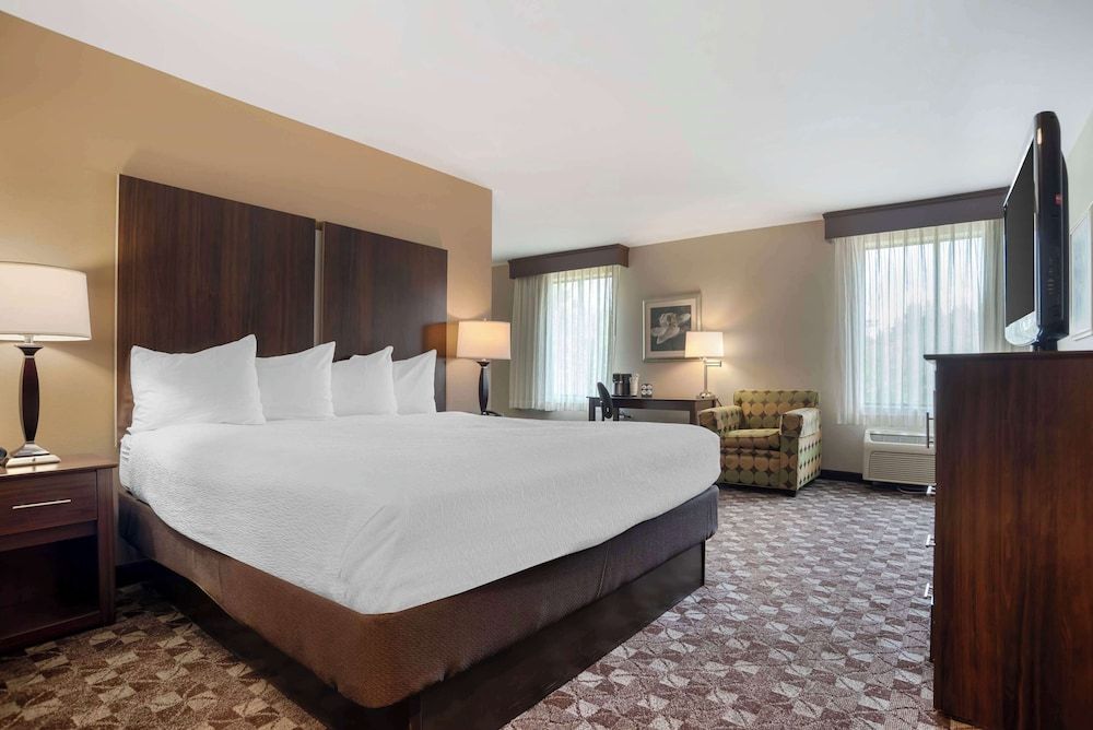 Standard Room, 1 King Bed, Non Smoking, Refrigerator & Microwave (with Sofabed)